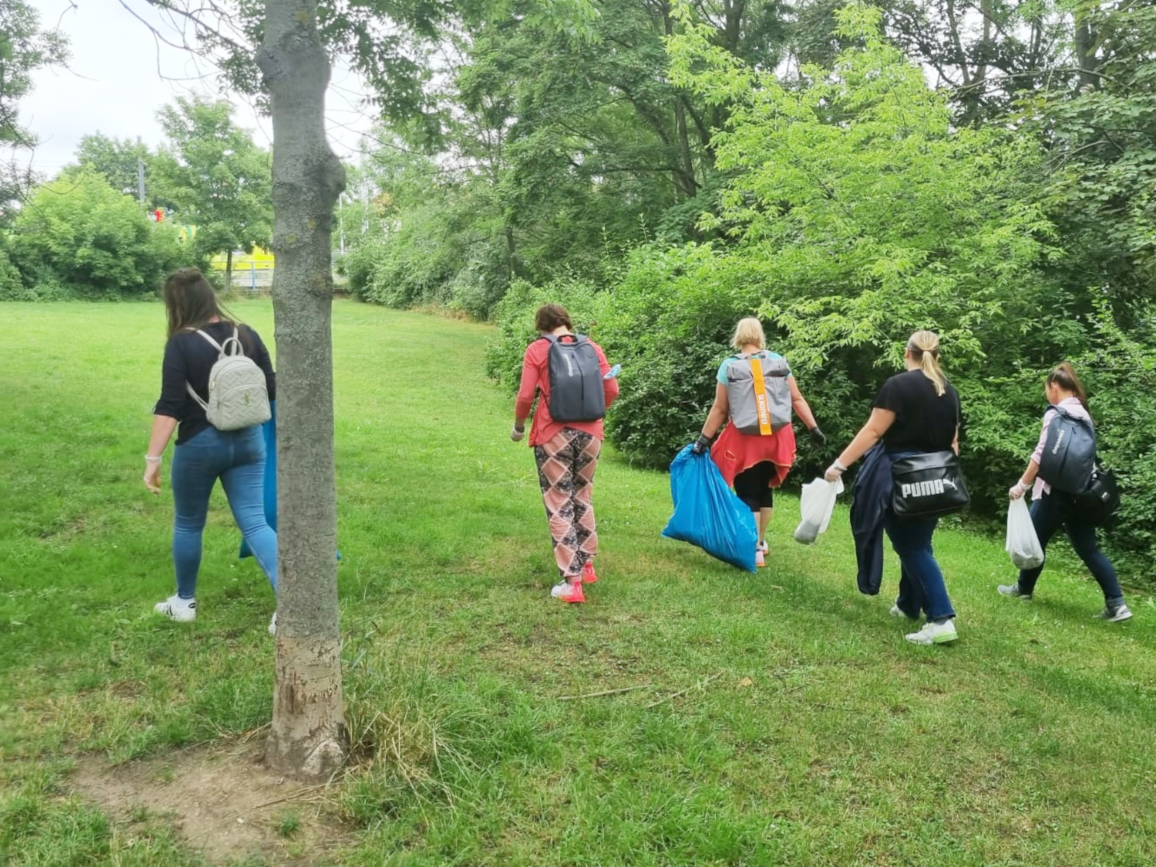 Du betrachtest gerade dwp Service goes Green – Clean Up