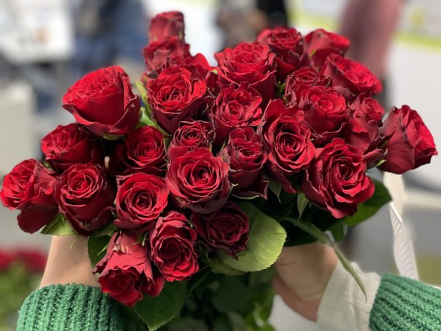 Mehr über den Artikel erfahren Valentinstag bei der dwpservice